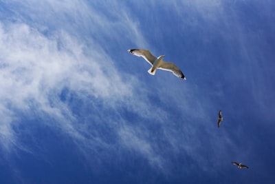 Migración a la nube de Azure para socios comerciales