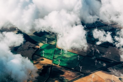 Software personalizado: seguimiento de metas ecológicas