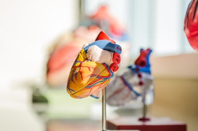Potenciales de aprendizaje en el emparejamiento dinámico para trasplantes de corazón
