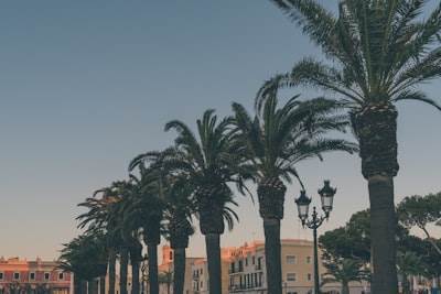 Top 100 Desarrolladores de Aplicaciones en Marbella