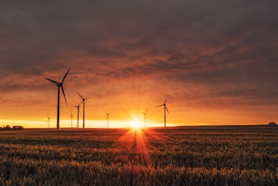 Energy optimization in federated learning with energy harvesting