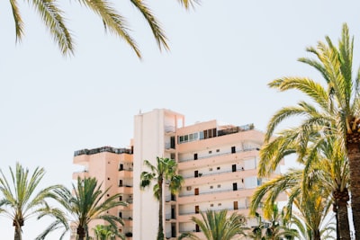 Top 20 Empresas de Alternativas para Programación Automatizada en Palma 2026