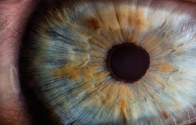 Cómo un agente de IA aprende a generar imágenes para implantes retinianos