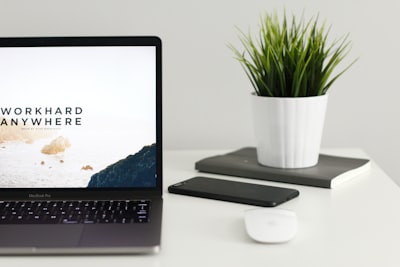 Características clave en un proveedor de diseño web para empresas
