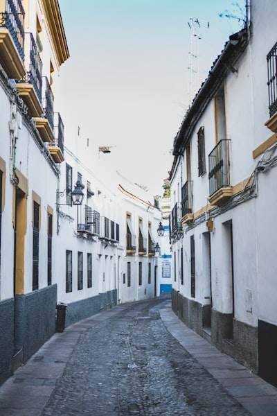 Mejores empresas de bots de Telegram en Córdoba