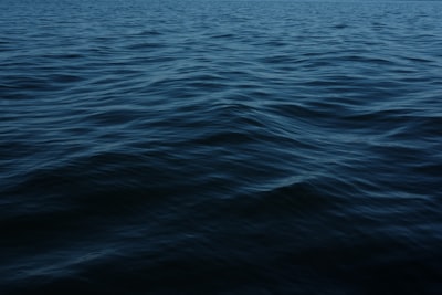 Nuevo método de IA reconstruye estados oceánicos a partir de datos escasos