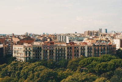 Especialistas en software de negocio en Barcelona
