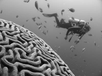 Deep Dive into Interlaced Thinking for Agentic Coding Workflows