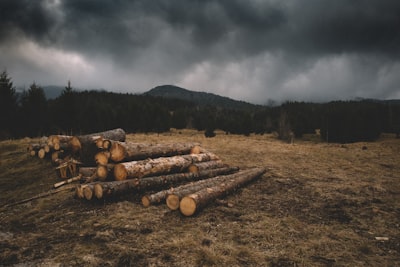 Las reglas del logging que realmente funcionan en emergencias