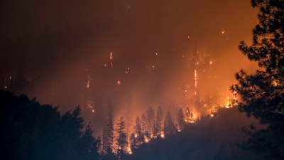 La app de incendios Watch Duty ahora monitorea inundaciones