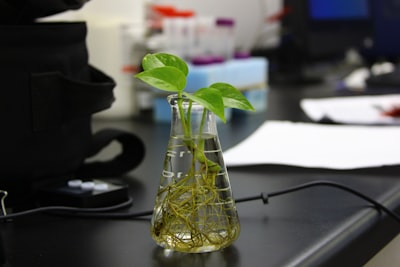 Reemplacé mi orquestador LLM con Biología Vegetal - Esto es lo que ocurrió