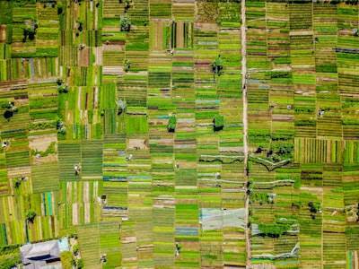 Optimización de Adaptación para Microredes Agrícolas InteIigentes
