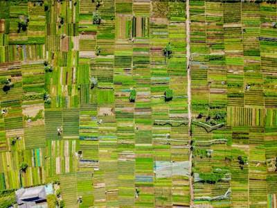 Optimización para orquestación de microgrids en agricultura inteligente durante ventanas críticas