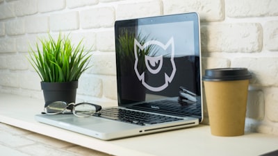 ¿El software web personalizado impulsa la transformación ecoamigable?