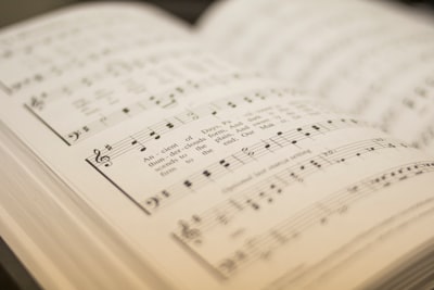 WavLM y aumento de datos mejoran clasificación vocal
