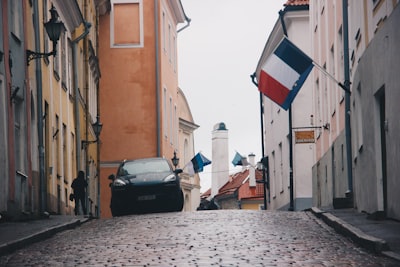 Estonia se opone a prohibición de redes sociales para niños.