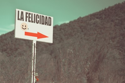 La decisión de verificar: cómo la calidez y características del usuario moldean la dependencia de agentes conversacionales en la búsqueda de información