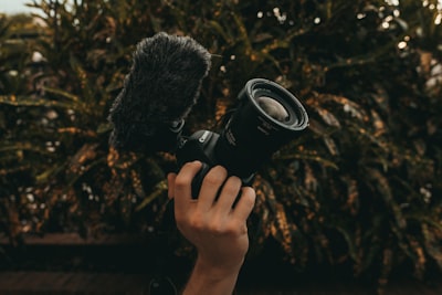 Qué buscar en un proveedor de videos de portavoz de inteligencia artificial