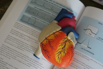 CogAdapt: Adaptación de derivaciones ECG para evaluar carga cognitiva con wearables