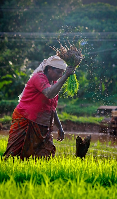 Agricultura inteligente con datos verificados
