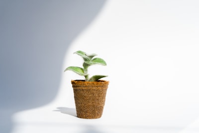 Beneficios del reemplazo personalizado del sistema heredado para el crecimiento empresarial