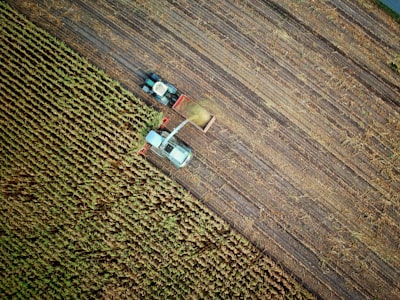 Mejorando la percepción agrícola con datos multivista a gran escala