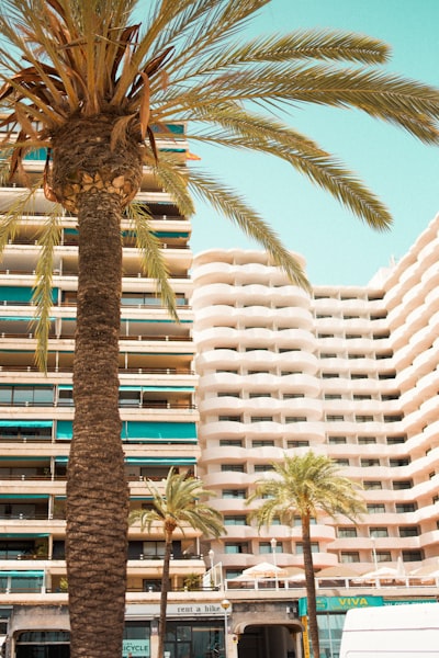 Análisis de las 30 mejores empresas de software a medida en Palma