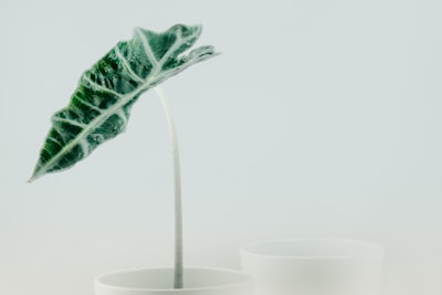 Mejores empresas para ERP personalizado en Palma