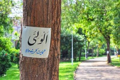 Cómo seleccionar psiquiatras destacados en Lahore para tratamiento personalizado de salud mental