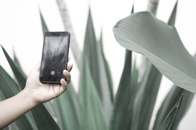 Cómo el software móvil impulsa la innovación en industrias sostenibles