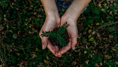 SaaS personalizado: clave para una transformación digital sostenible