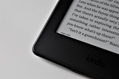 Visor de videoportero con un Kindle reciclado