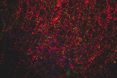 Nanotransportadores dirigidos con péptidos anfifílicos autoensamblantes para tumores cerebrales.