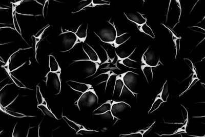 Neural Ising Machines: Unrolling and Zeroth-Order Training