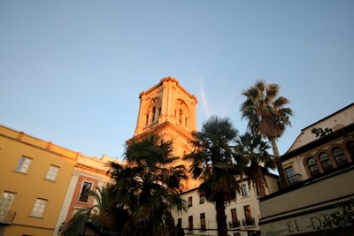 Las mejores empresas para automatizar turnos en Granada