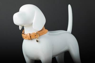 Mejor collar para Labrador: Comodidad, Durabilidad y Seguridad