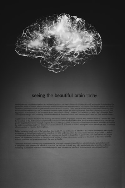 Los líderes en comprensión documental cognitiva en Palma