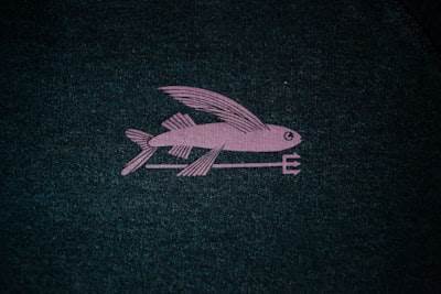 Diseño descentralizado de Apache DolphinScheduler.