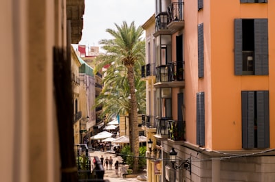 La mejor selección de avatares conversacionales de IA en Alicante