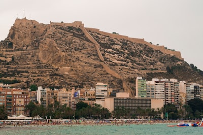 Los 5 mejores expertos en IA para SLA en Alicante