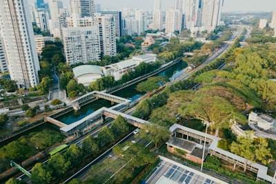 El futuro de las ciudades: ¿inteligentes o verdes?