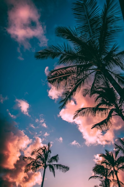 Colección de wallpapers para celebrar el verano