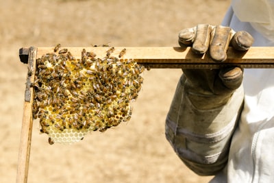 Mejores servicios de integración de API en Valladolid
