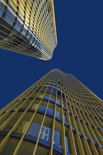 A Complete Business Guide for Wealth Management Software Development