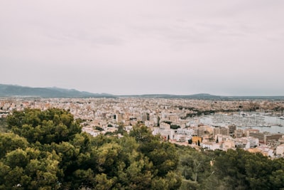 Los 5 mejores expertos en generación de contenido de marketing AI en Palma