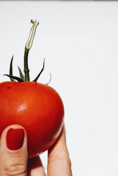 Beneficios de las agencias de diseño web para alimentos y bebidas