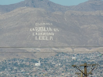 Catálogo-Nativo LLM: Less Complex Element-ID Dialect Speaking for Recommendation