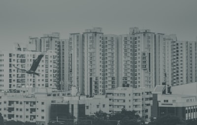 Ventajas de una empresa de desarrollo