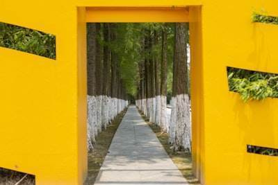 "API Gateway Patterns: An Essential Guide for Developers"
----------------------------------------------------------

"Guía Básica de Patrones API Gateway para Desarrolladores"