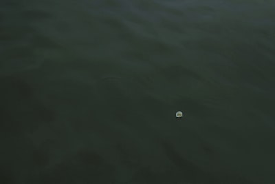El problema del punto flotante